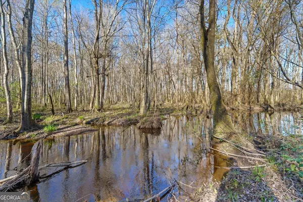 a view of a yard with large trees
