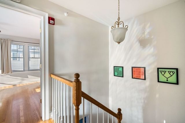 a view of a hallway with a flower pot and a window