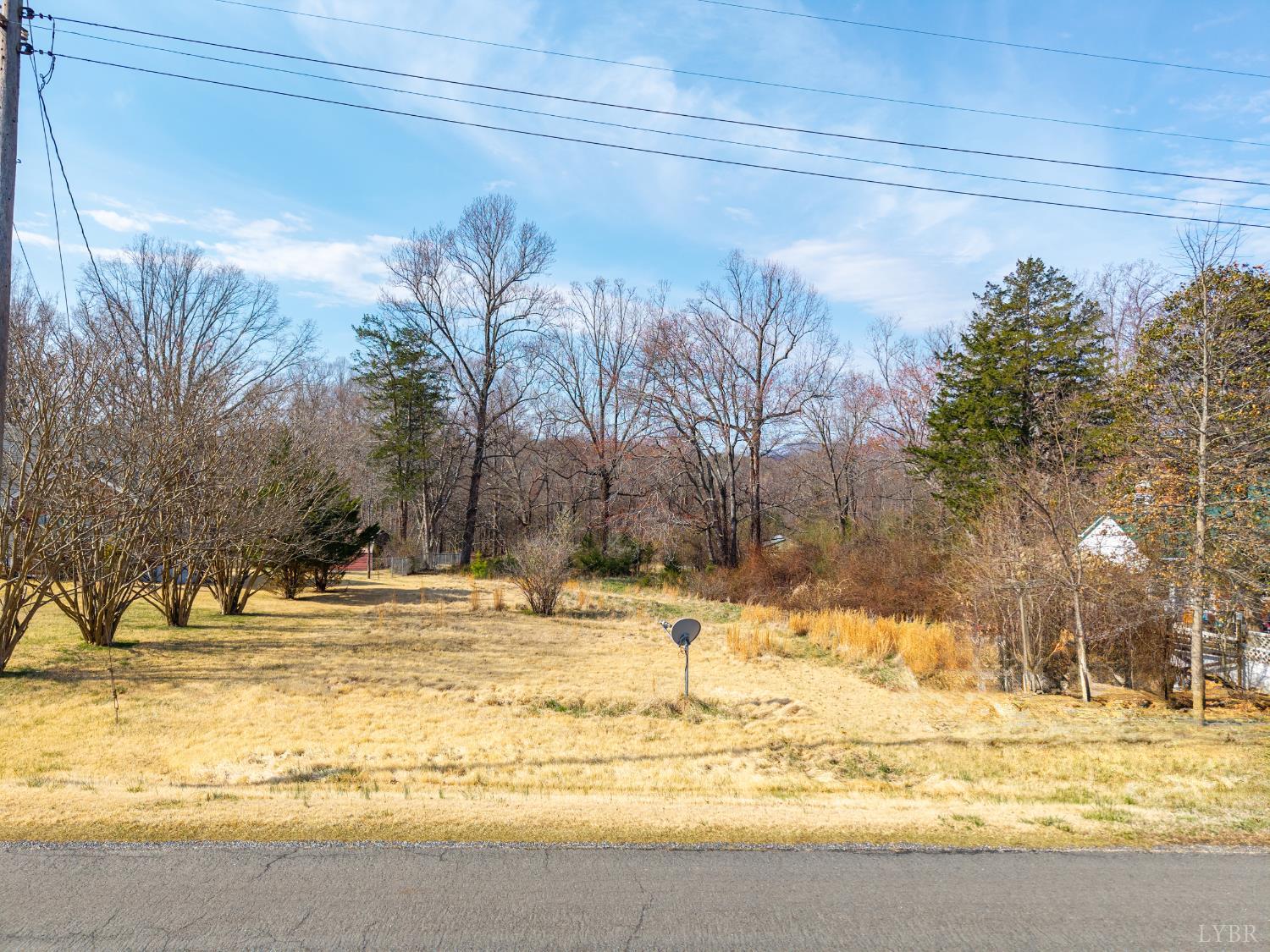0 Ridge Drive Amherst, VA 24521 - Photo 29 of 38 Gallery Image 29