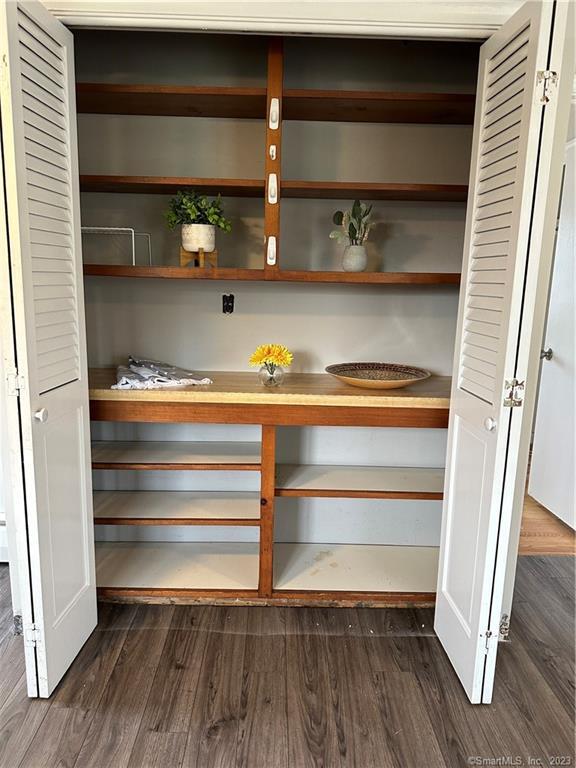 280 Lighthouse Road New Haven, CT 06512 - Photo 10 of 21 a view of walk in closet with empty racks
