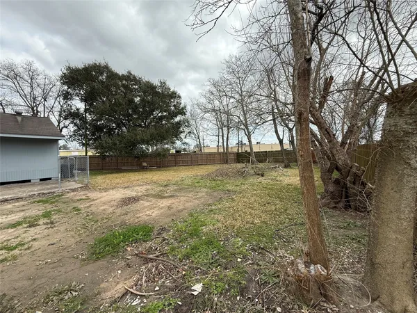 a view of yard with trees