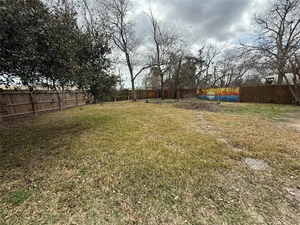 a view of a yard with a tree