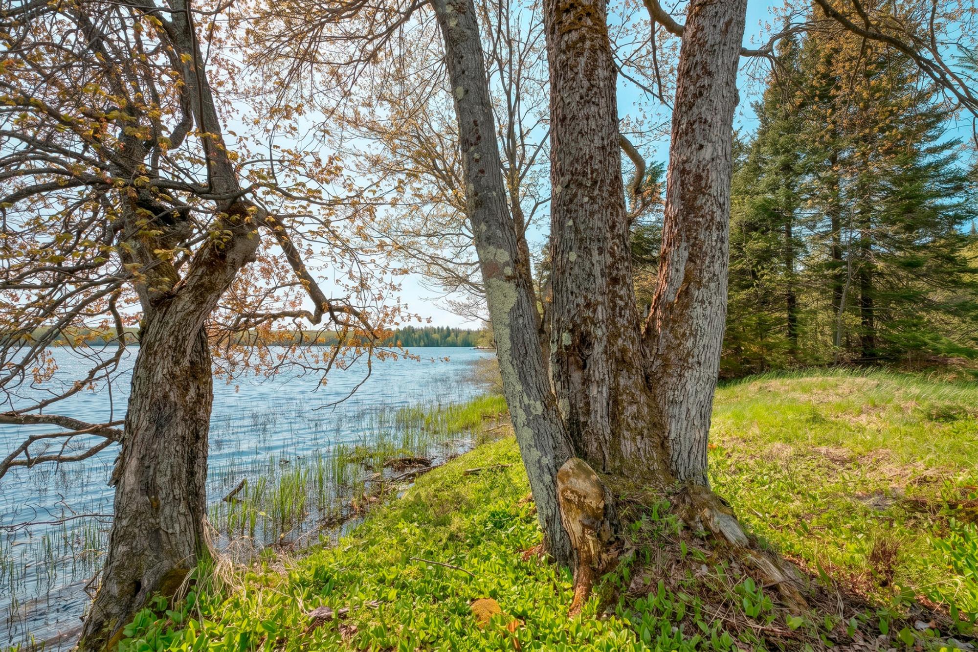 N2862 Forest Road Watersmeet, MI 49969 - Photo 62 of 81 Gallery Image 62