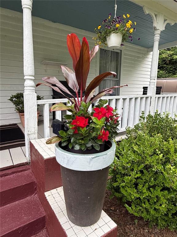 209 Old Perry Road Marshallville, GA 31057 - Photo 25 of 40 a view of a flower in a garden