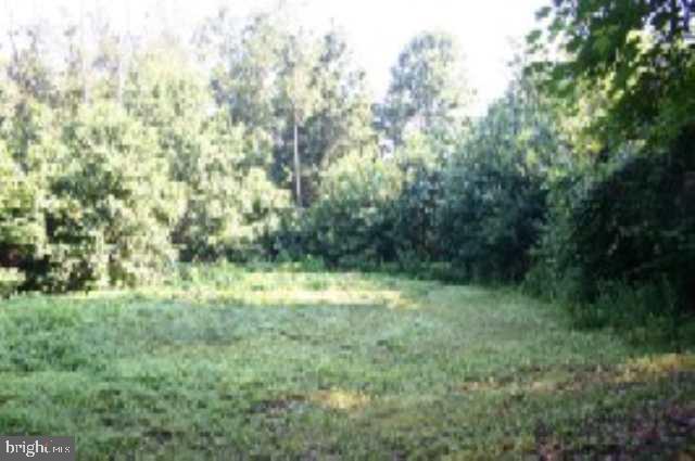 Lot 9 Hollow Road Millerstown, PA 17062 - Photo 1 of 9 Gallery Image 1