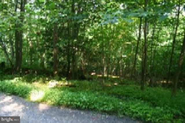 Lot 9 Hollow Road Millerstown, PA 17062 - Photo 2 of 9 Gallery Image 2