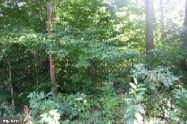 Lot 9 Hollow Road Millerstown, PA 17062 - Photo 3 of 9 Gallery Image 3