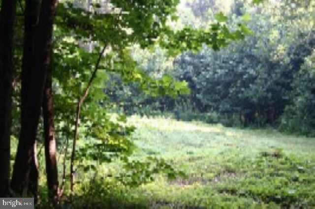 Lot 9 Hollow Road Millerstown, PA 17062 - Photo 4 of 9 Gallery Image 4