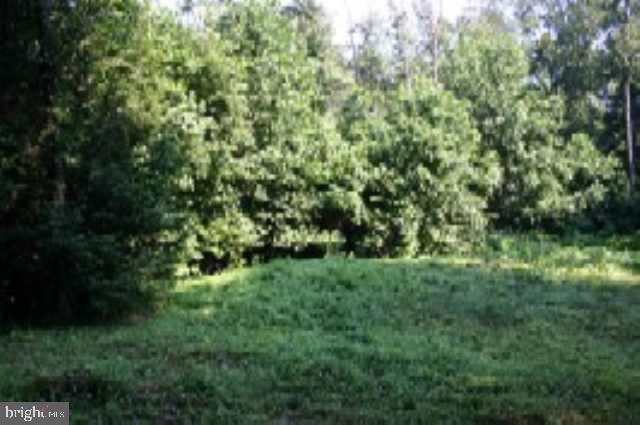 Lot 9 Hollow Road Millerstown, PA 17062 - Photo 5 of 9 Gallery Image 5