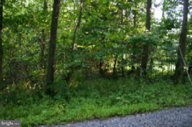 Lot 9 Hollow Road Millerstown, PA 17062 - Photo 6 of 9 Gallery Image 6