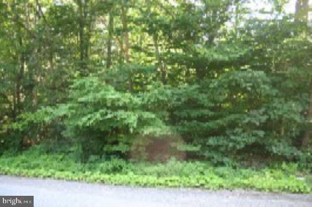 Lot 9 Hollow Road Millerstown, PA 17062 - Photo 9 of 9 Gallery Image 9