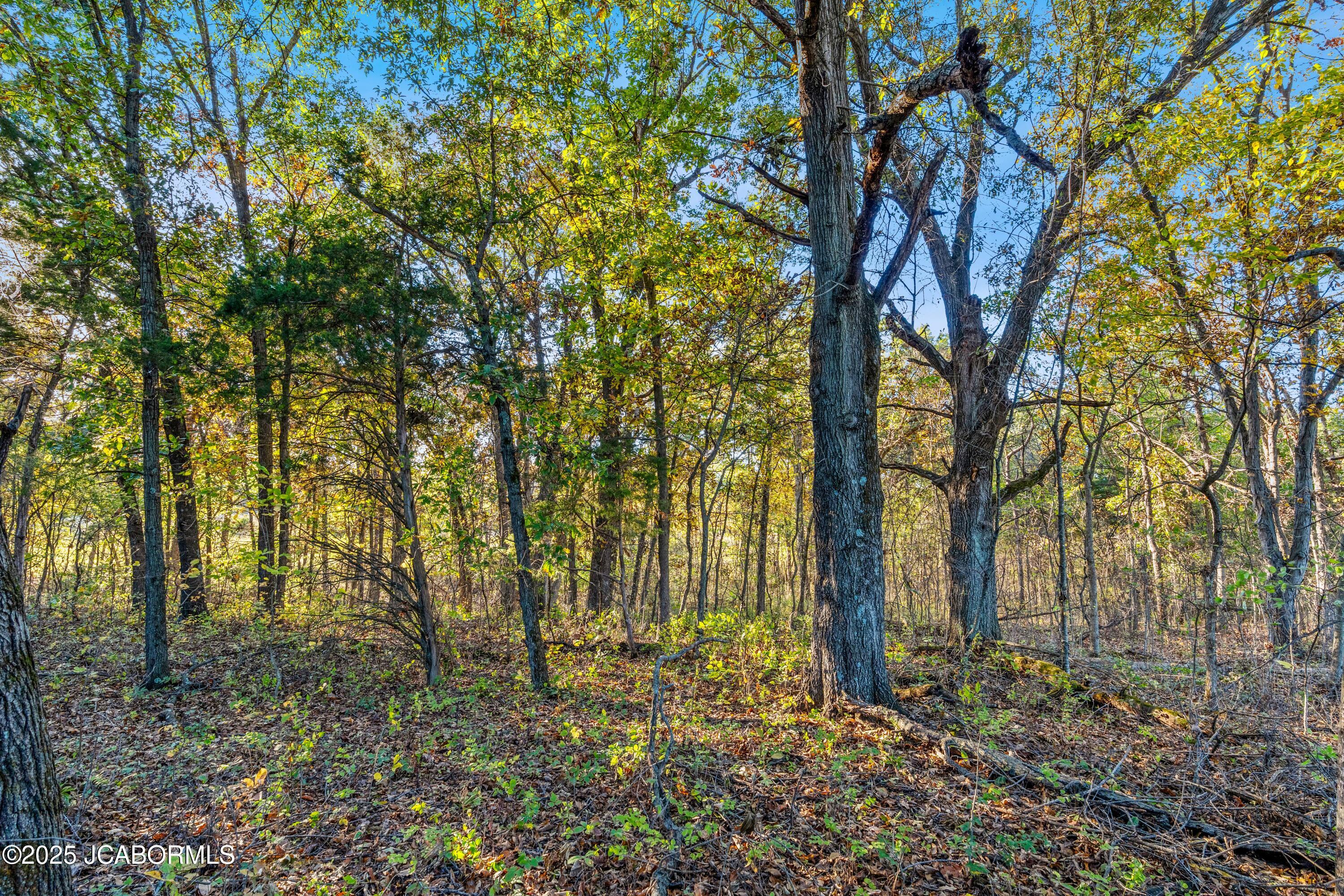 0 Callaway County Road Auxvasse, MO 65231 - Photo 7 of 16