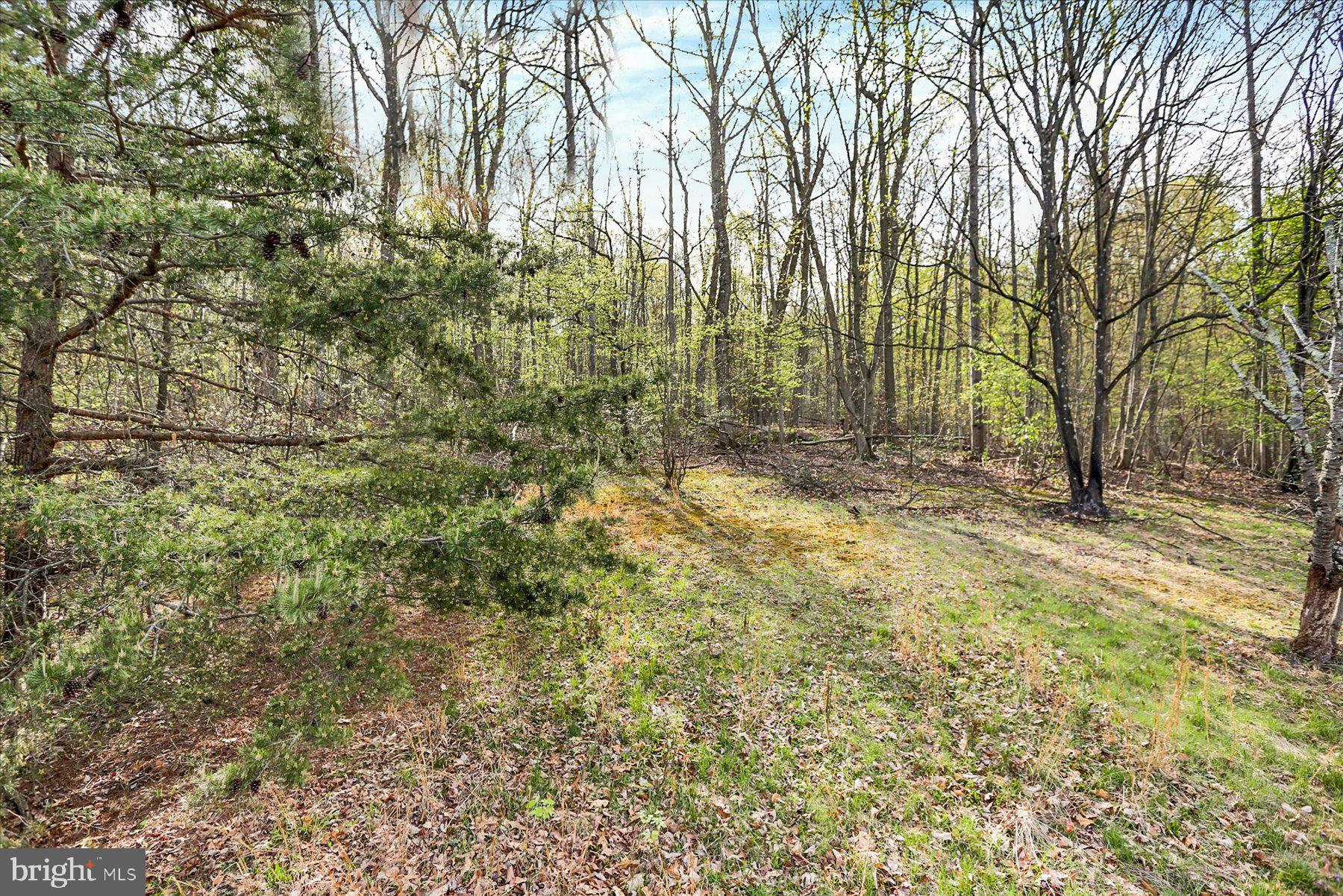 381 Rohlers Church Road Dover, PA 17315 - Photo 24 of 24 Gallery Image 24