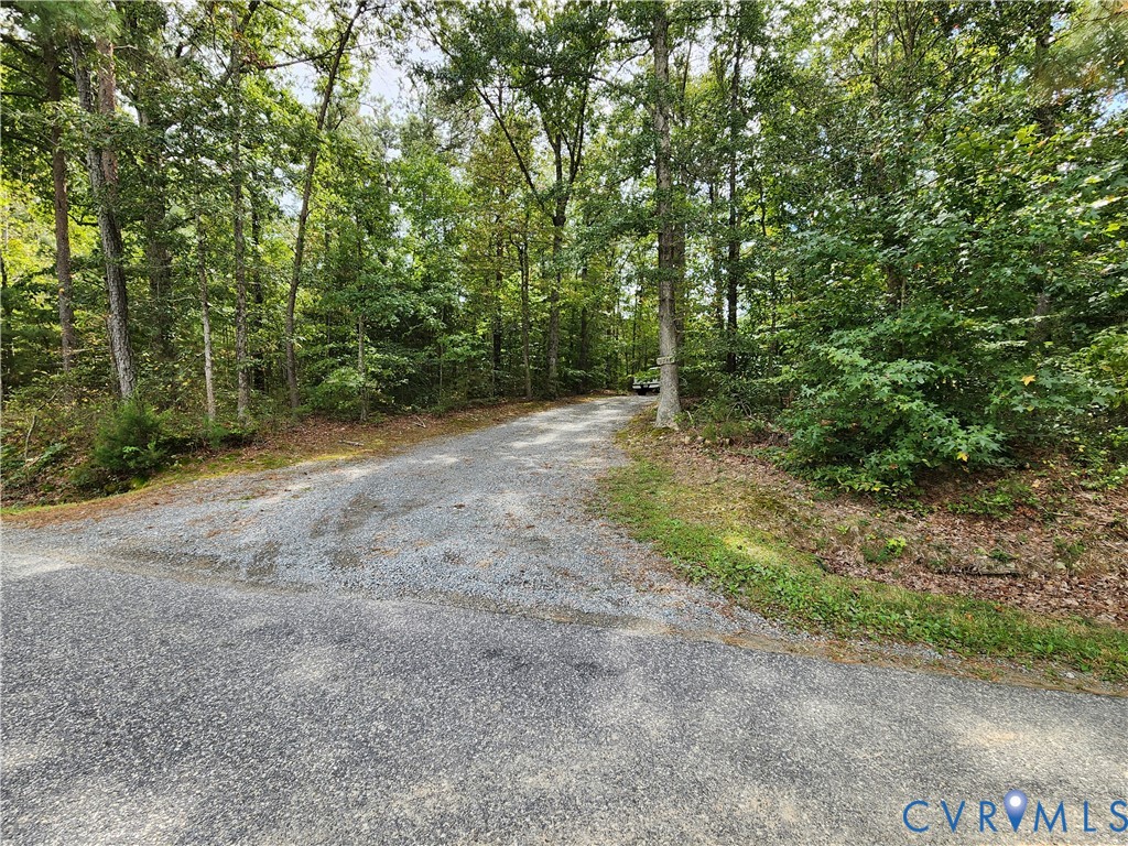 2744 Smokey Road Aylett, VA 23009 - Photo 72 of 72 Gravel driveway bordered by mature trees
