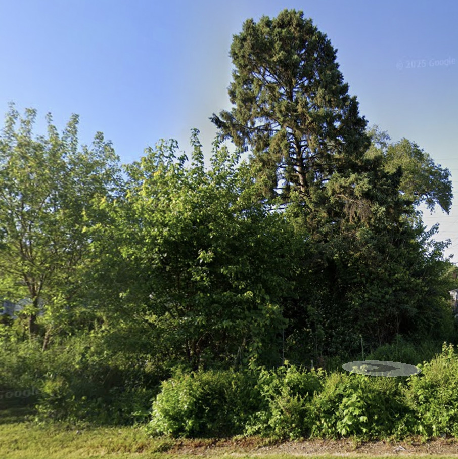 10 Edison Road Joliet, IL 60433 - Photo 1 of 2 a view of a garden