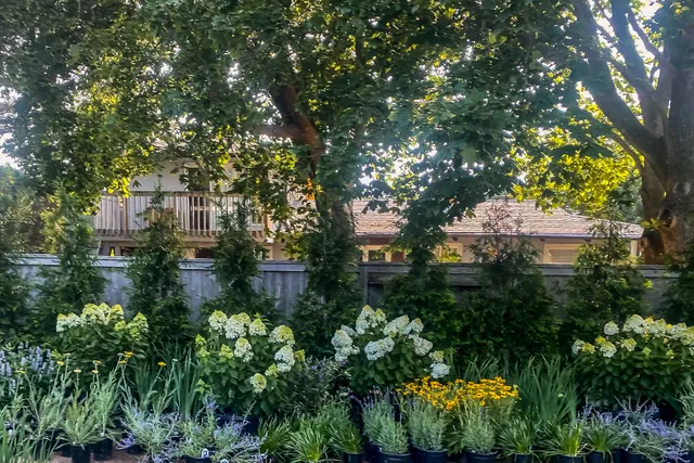 $15,000 | 6 Tern Drive, Montauk, NY 11954