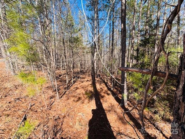 0 Creekside Circle, Unit 110 Rutherfordton, NC 28139 - Photo 12 of 28