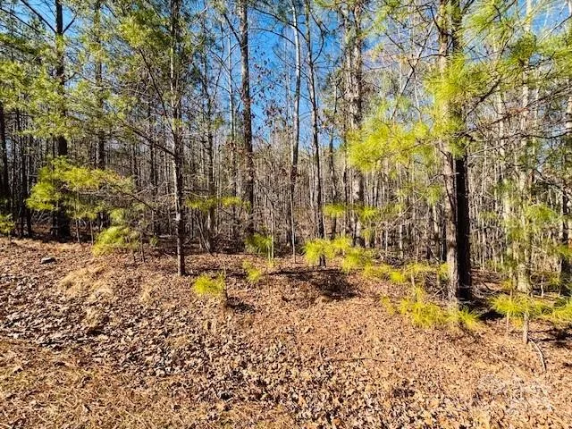 $29,900 | 0 Creekside Circle, Unit 110, Rutherfordton, NC 28139