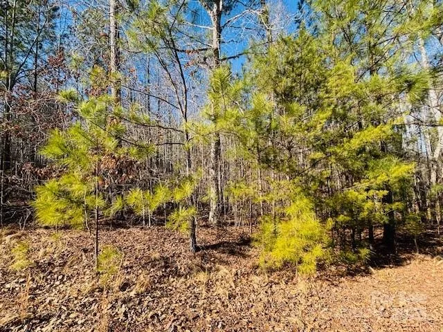 $29,900 | 0 Creekside Circle, Unit 110, Rutherfordton, NC 28139