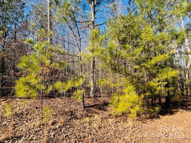 0 Creekside Circle, Unit 110 Rutherfordton, NC 28139 - Photo 4 of 28