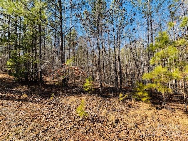 0 Creekside Circle, Unit 110 Rutherfordton, NC 28139 - Photo 5 of 28