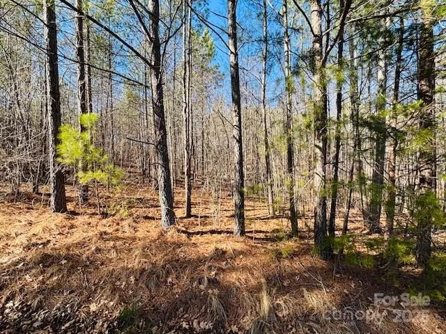 $29,900 | 0 Creekside Circle, Unit 110, Rutherfordton, NC 28139