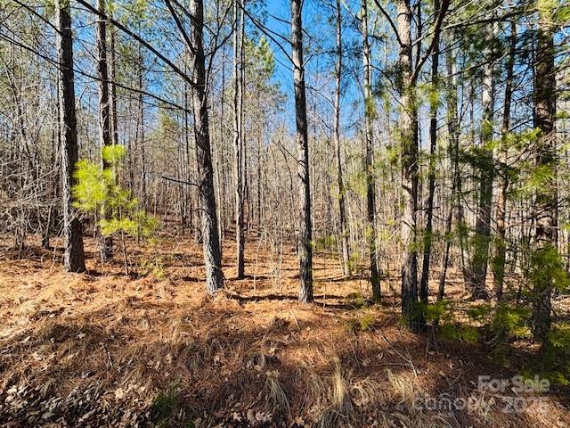 0 Creekside Circle, Unit 110 Rutherfordton, NC 28139 - Photo 6 of 28