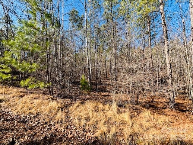 0 Creekside Circle, Unit 110 Rutherfordton, NC 28139 - Photo 7 of 28