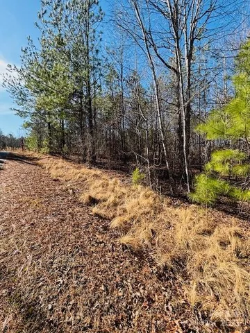 $29,900 | 0 Creekside Circle, Unit 110, Rutherfordton, NC 28139