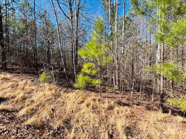 $29,900 | 0 Creekside Circle, Unit 110, Rutherfordton, NC 28139