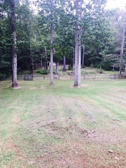 48 L Mitchell Road Kelso, TN 37348 - Photo 11 of 27 a view of a park with large trees