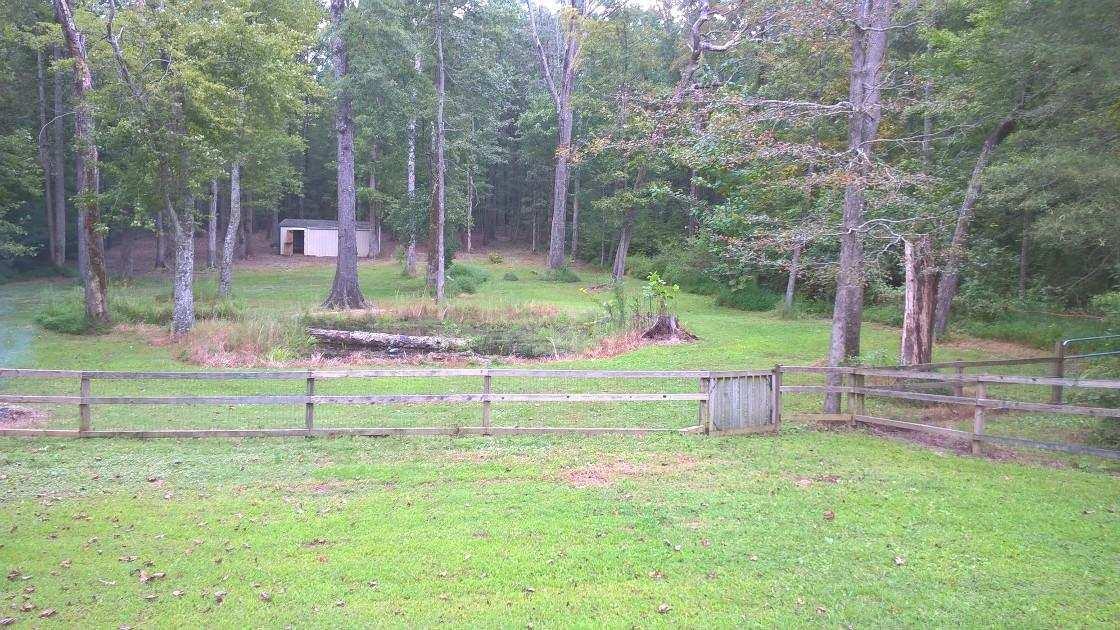 48 L Mitchell Road Kelso, TN 37348 - Photo 8 of 27 a view of a park with large trees