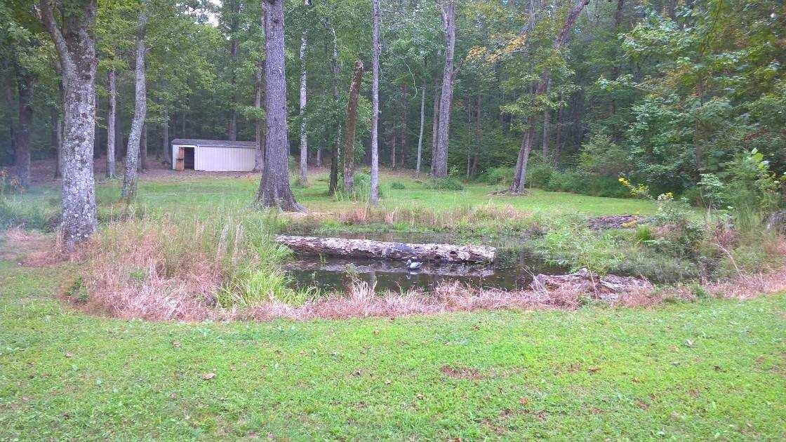 48 L Mitchell Road Kelso, TN 37348 - Photo 9 of 27 a view of a backyard with a garden