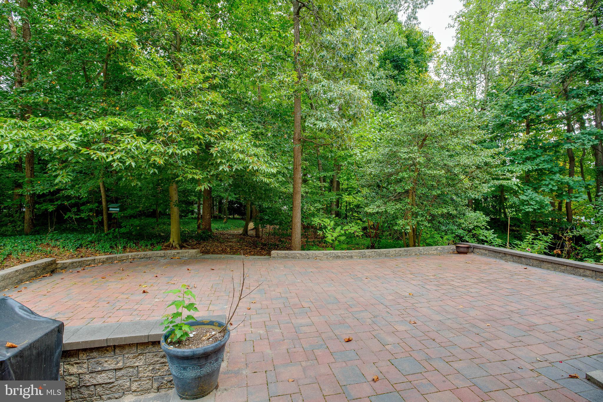 6907 Huntsman Boulevard Springfield, VA 22153 - Photo 39 of 48 Patio