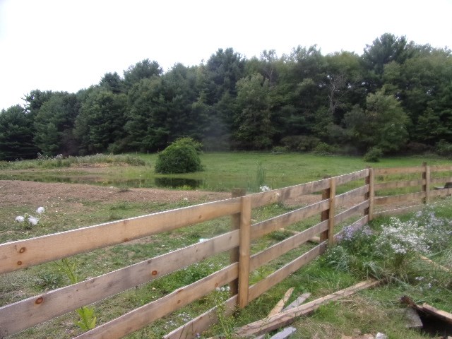 762 Gravel Lick Road Strattanville, PA 16258 - Photo 12 of 33