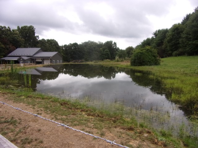 762 Gravel Lick Road Strattanville, PA 16258 - Photo 13 of 33