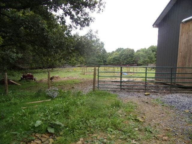 762 Gravel Lick Road Strattanville, PA 16258 - Photo 18 of 33