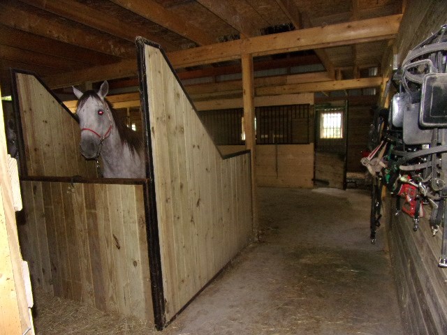 762 Gravel Lick Road Strattanville, PA 16258 - Photo 23 of 33