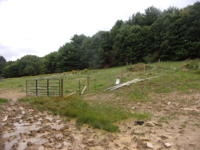 762 Gravel Lick Road Strattanville, PA 16258 - Photo 26 of 33