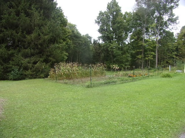762 Gravel Lick Road Strattanville, PA 16258 - Photo 31 of 33