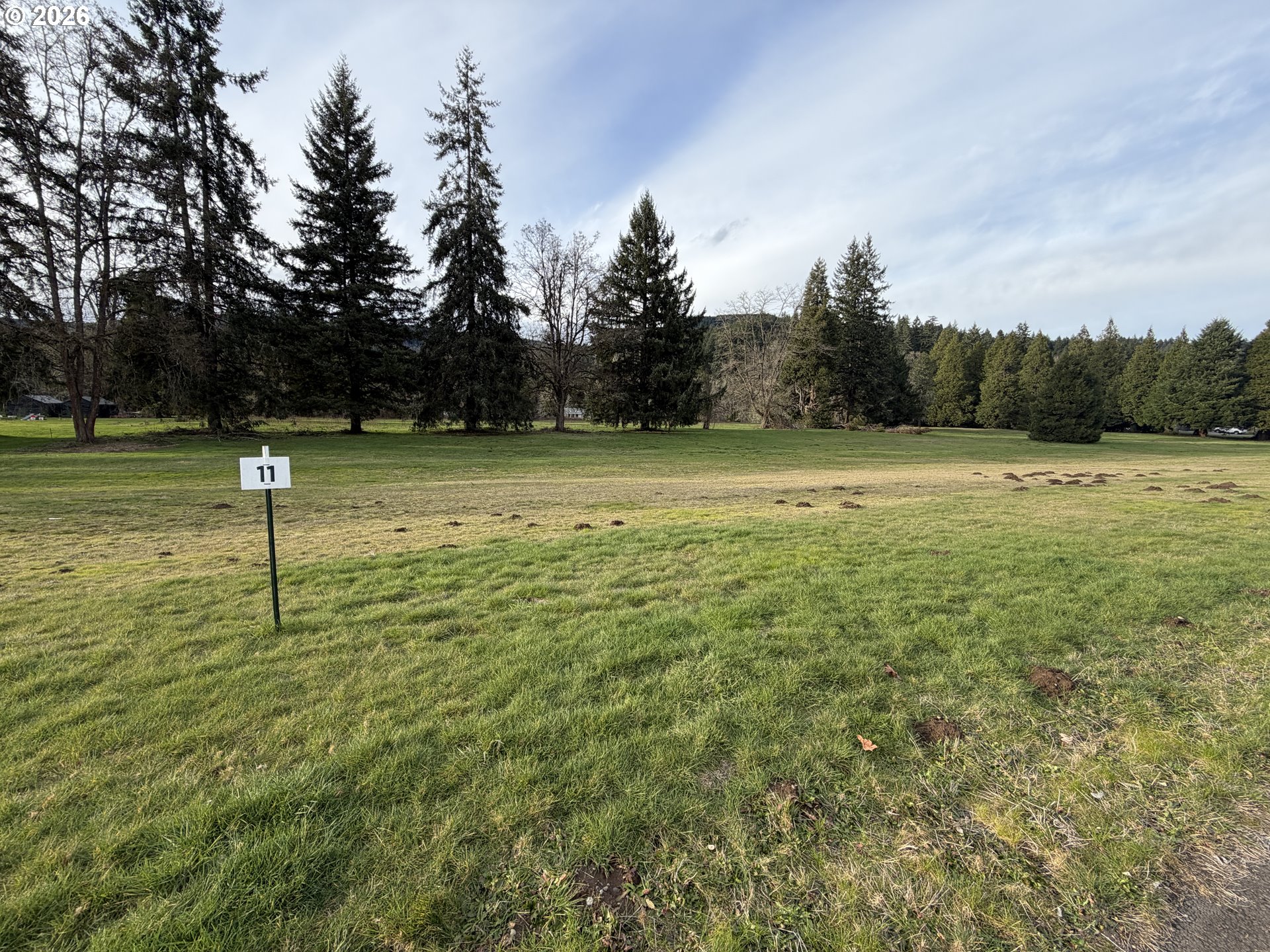 0 Omlid Drive, Unit 11 Springfield, OR 97478 - Photo 9 of 21
