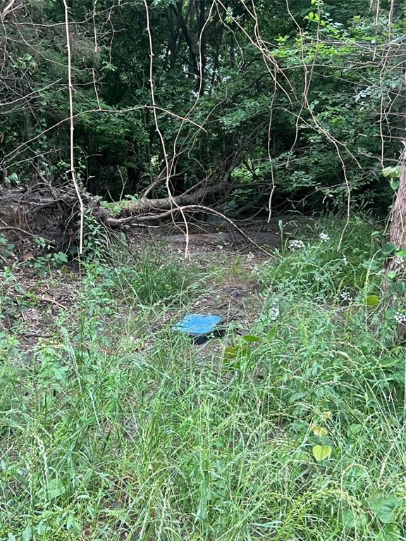 a backyard of a house with lots of green space and fountain in the back