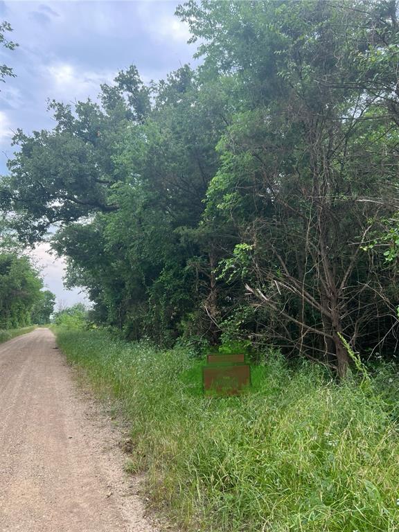 6 County Road Paris, TX 75462 - Photo 3 of 3 a view of a garden with a lake
