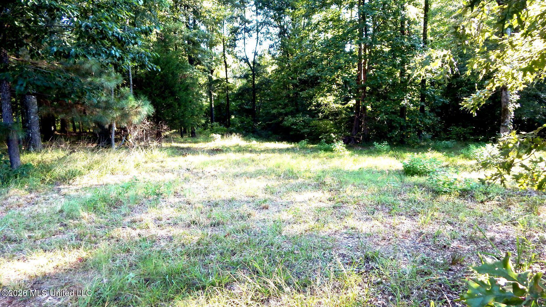 400 Arkabutla Dam Road Coldwater, MS 38618 - Photo 5 of 15 DSCN7560