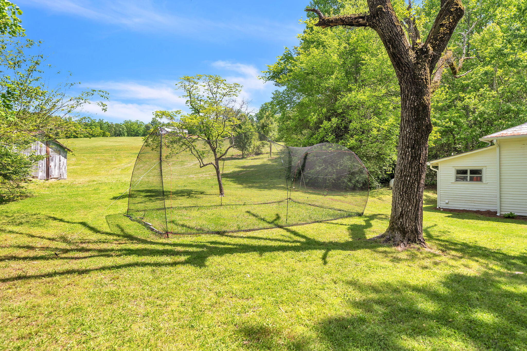 5595 Cove Road Jasper, GA 30143 - Photo 26 of 30 21-web-or-mls-DSC01586
