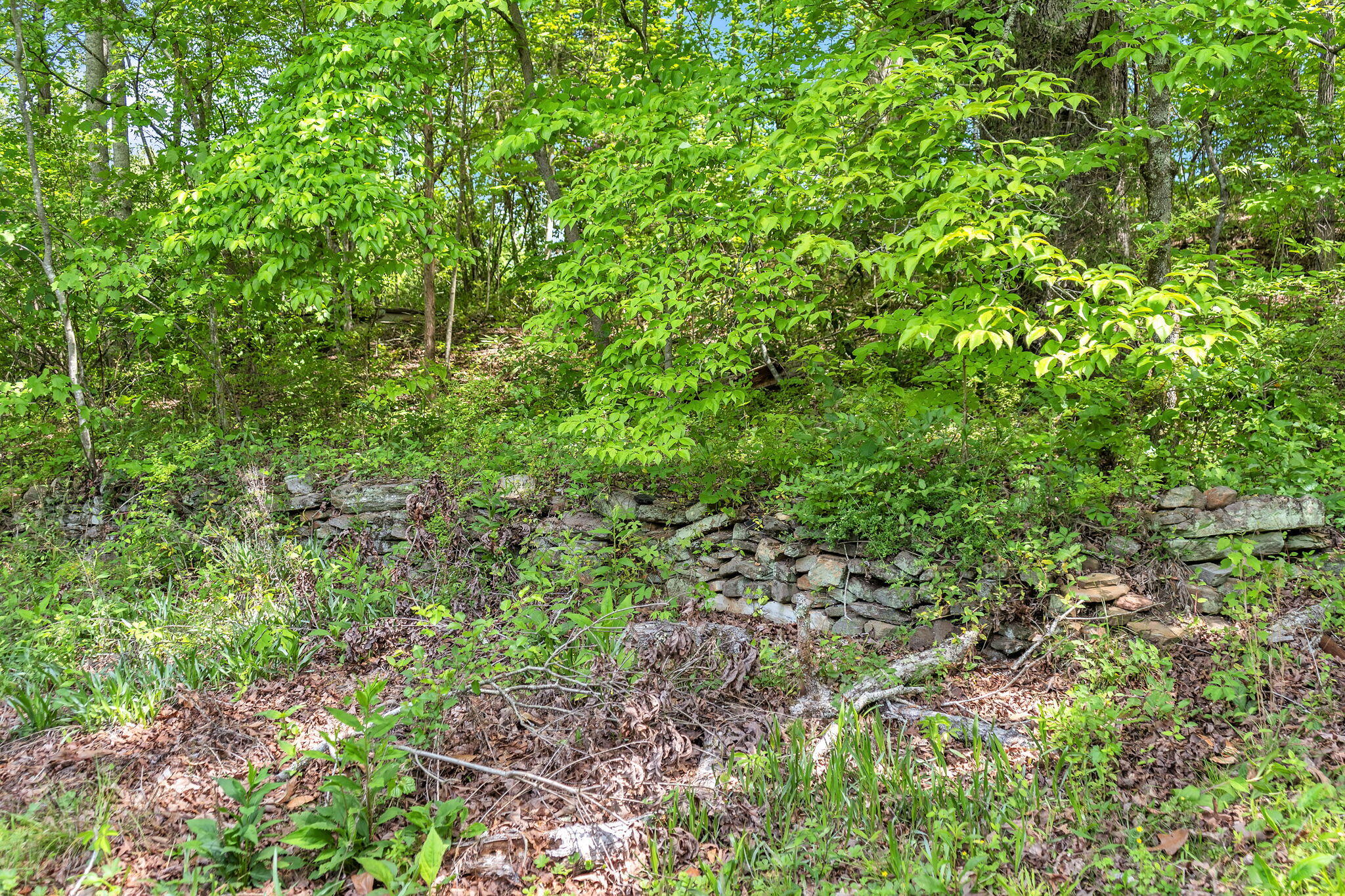 5595 Cove Road Jasper, GA 30143 - Photo 29 of 30 16-web-or-mls-DSC01558