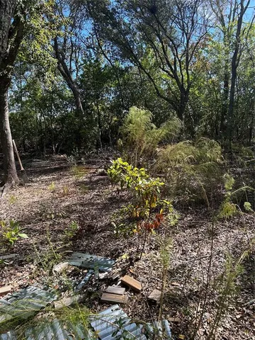 a view of a yard with plants and tree
