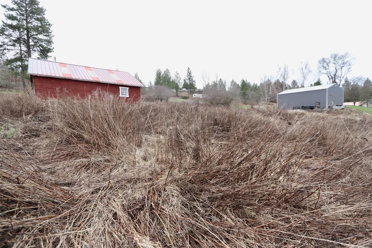 429 Northeast Stringham Road Rockford, WA 99030 - Photo 13 of 18
