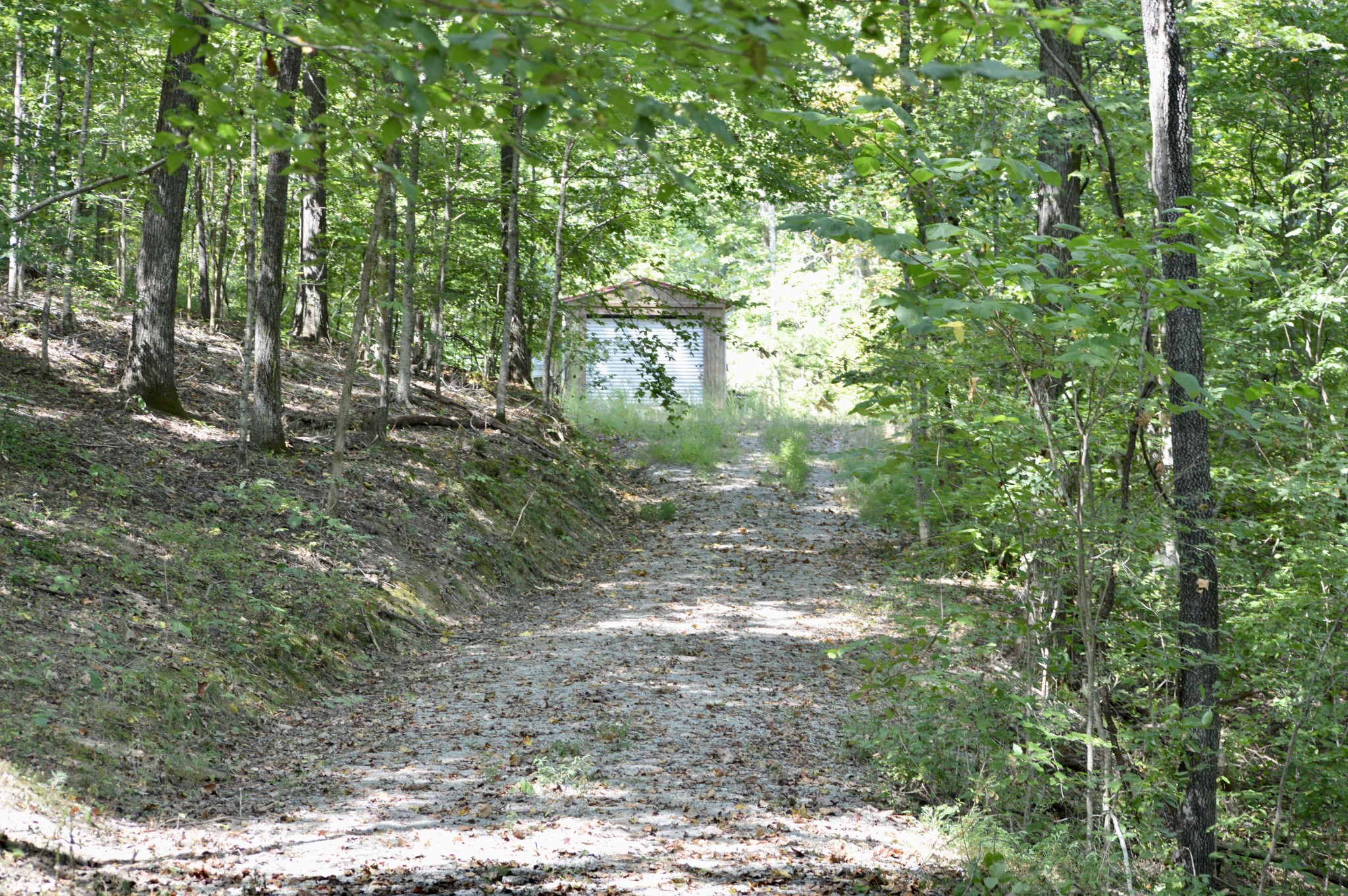 0 Mayes Road Kingston Springs, TN 37082 - Photo 5 of 30 Gallery Image 5