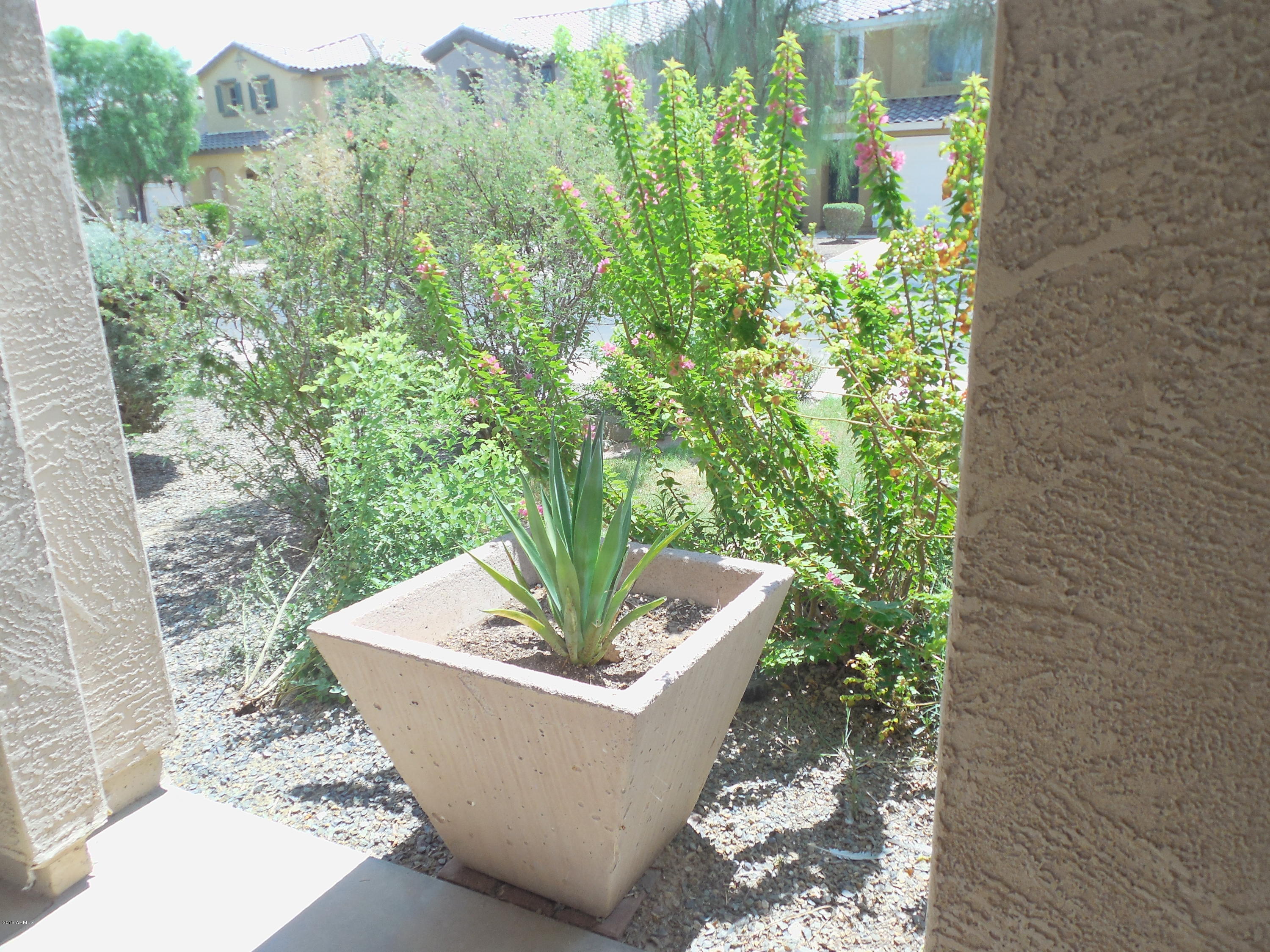 6324 West Beverly Road Laveen, AZ 85339 - Photo 3 of 24 DSCN0747